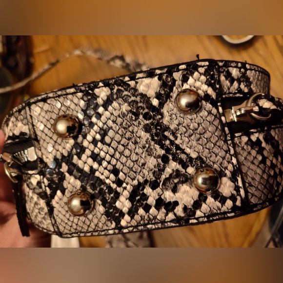 Mia and Luca Reptile Purse - Picture 3 of 5